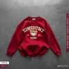 Sweatshirt Red Einsight